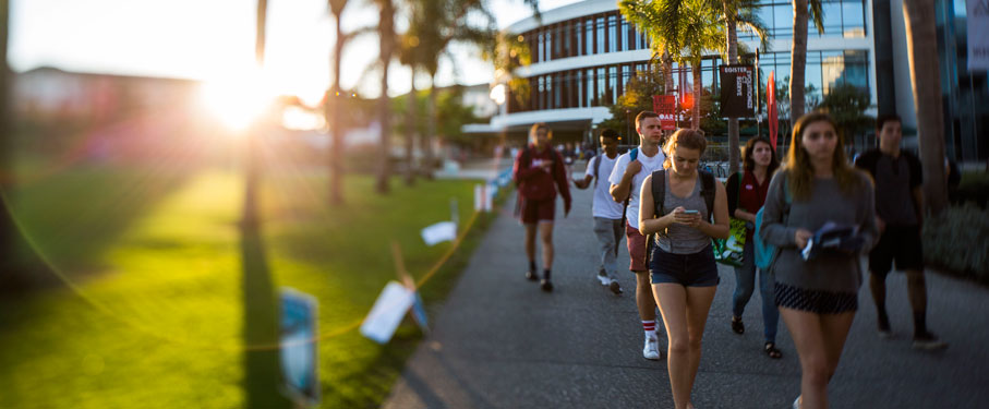 Students walking on Palms Walk with Hannon Library in the background at sunset