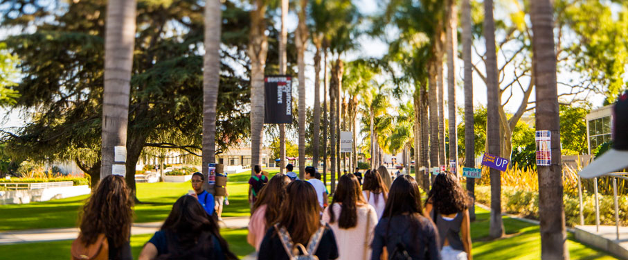 LMU students walking through Palm Walk