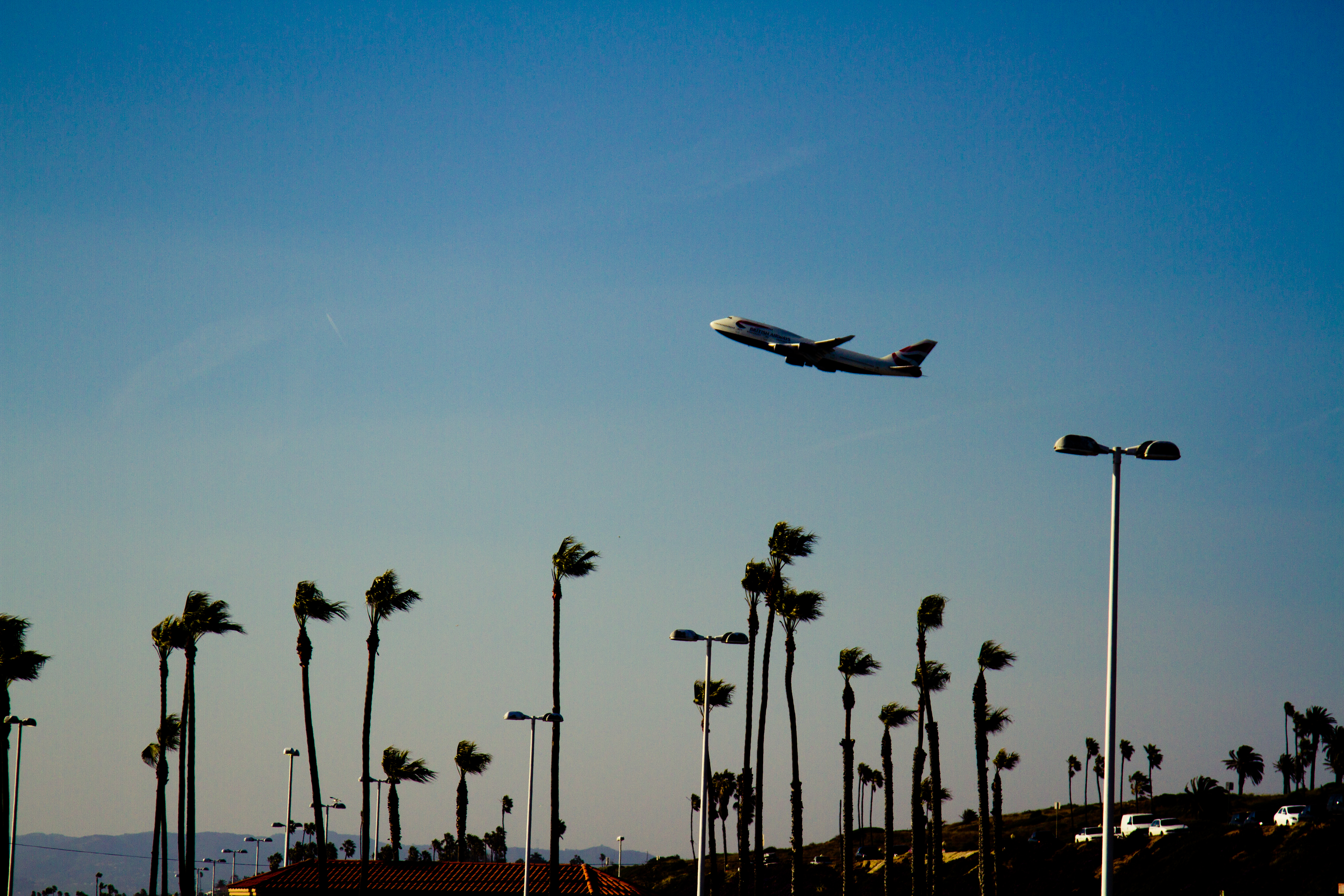 photo of plane taking off with palm tress in the background