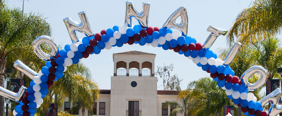 lmu housing welcome to lion nation