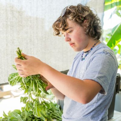 A student holds green veggies to package at a farm.