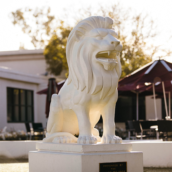 A bright shot of the white Lion Statue outside of Malone Student Center.