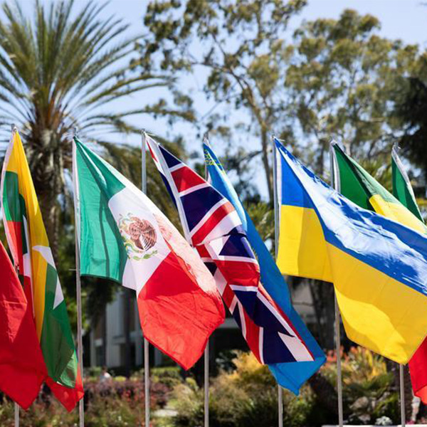 International flags float in the wind outside on LMU's campus.
