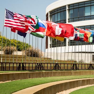 Flags standing up outside of the library.