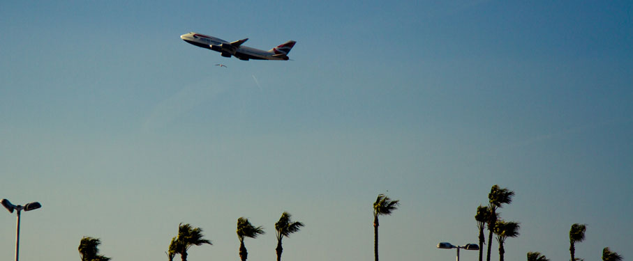 A plane flying over some palm trees