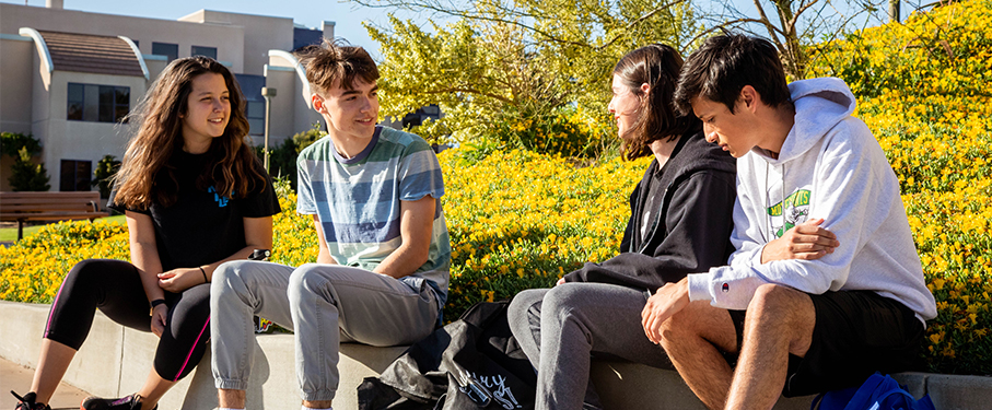 Four male and female students sitting outside on campus talking.