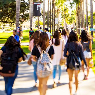 Students walking on Palm Walk outside on a sunny day.