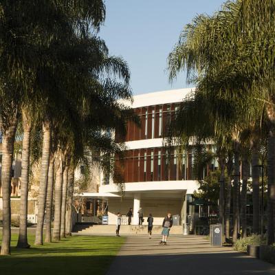 A exterior shot of the Hannon Library looking down a walkway of Palm trees.