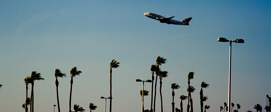 photo of plane taking off with palm tress in the background