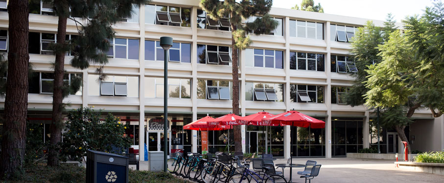 lmu housing mckay