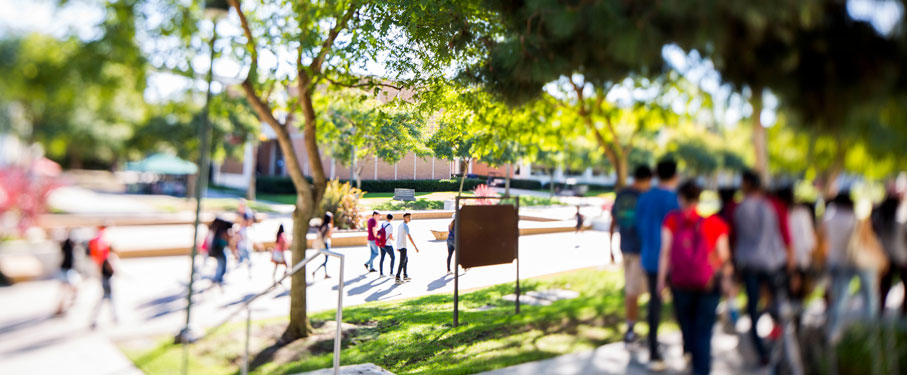 Students walk through grass under the shade of trees between classes.