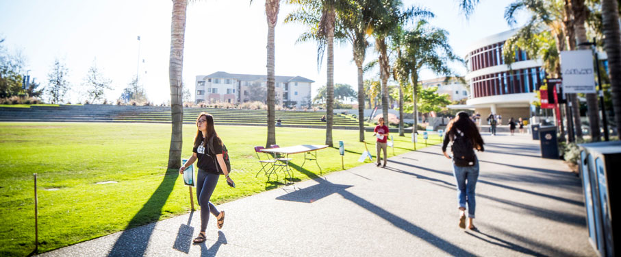 Students walk between palm trees on their way to and from classes.