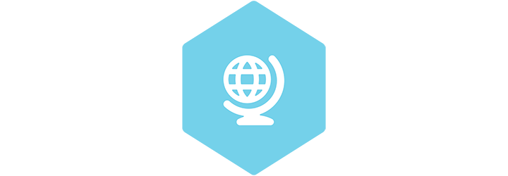 Globe icon